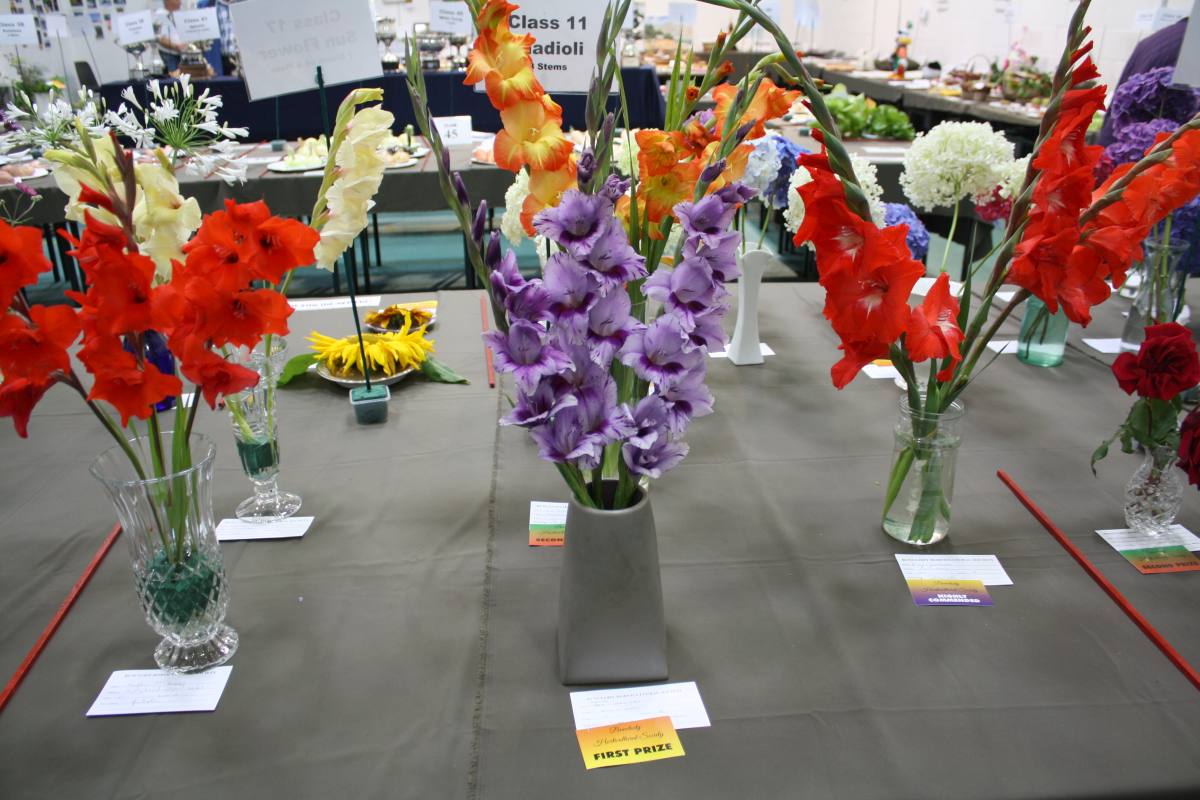../Images/Horticultural Show in Bunclody 2014--29.jpg